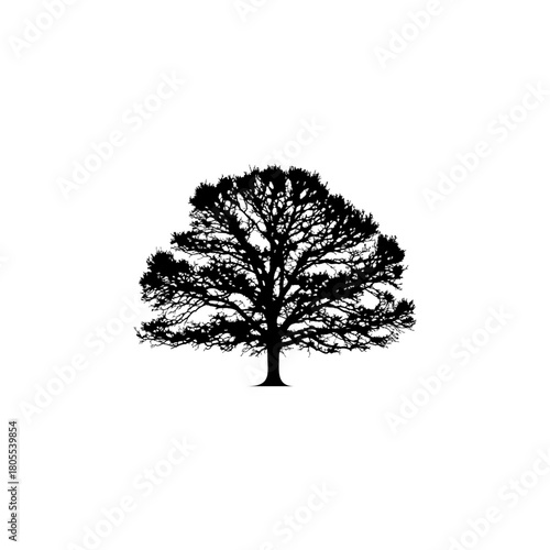 Elegant black tree silhouette offers a striking visual impact for creative design projects and natural themes
