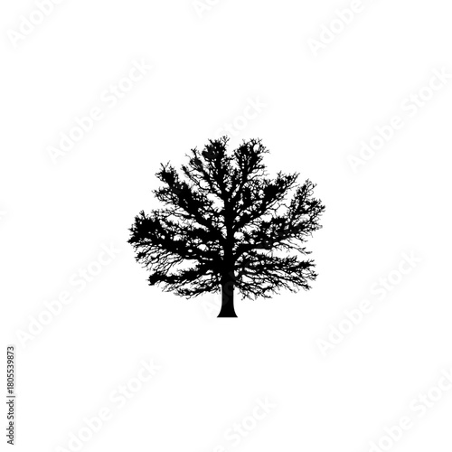 Striking silhouette of a solitary tree against a stark white background, ready for your creative design