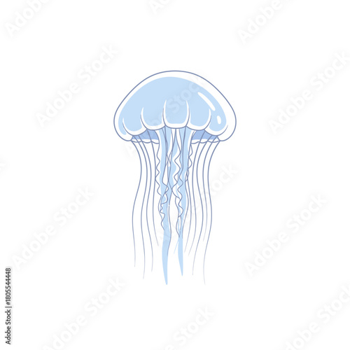Pale blue jellyfish isolated on white background