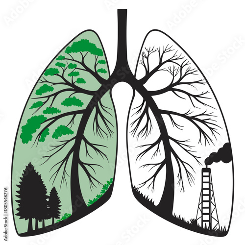 Tropical rainforests shaped like lungs.