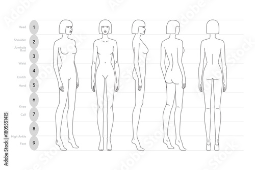 Vector illustration of a 9 head woman in displaying multiple angles including front, side, and back. Perfect for fashion sketches, anatomy reference, and style design.