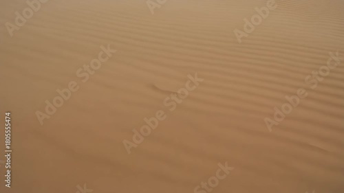 Desert sand dust sweeping over the screen and wiping to the next clip. Gritty, natural transition effect for travel, adventure, or dry themes.