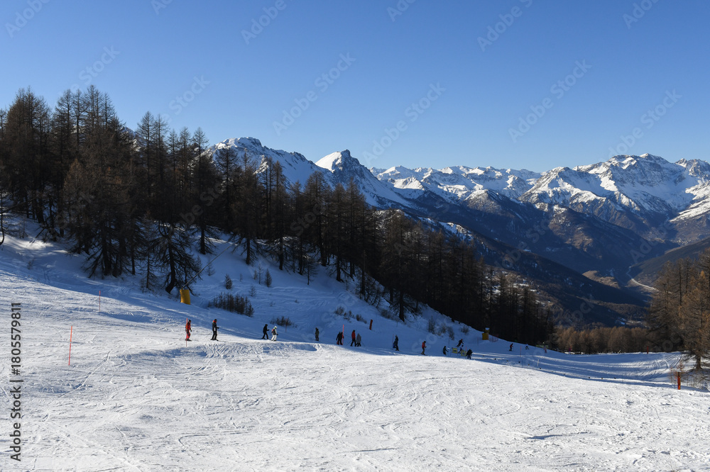 Fototapeta premium Skiers and snowboarders descending a ski slope in Sauze D'Oulx ski resort, Turin, Italy. Tree lined piste overlooking beautiful snowcapped mountains and the Milky Way ski area in the Piedmont region.