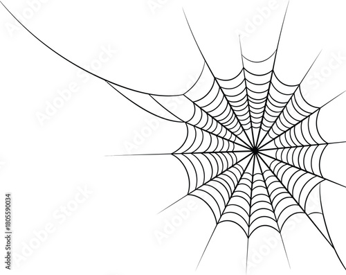 Black spider web graphic element on white background