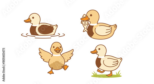 Four cartoon ducks are depicted: swimming, holding a fish, walking, and flapping wings.