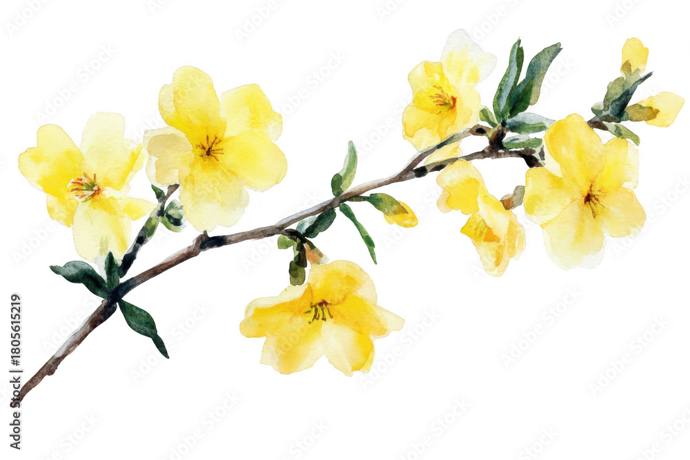 Obraz premium A delicate watercolor illustration of yellow flowers on a slender branch. their natural beauty against a clean white background. ideal for nature-themed projects or floral designs