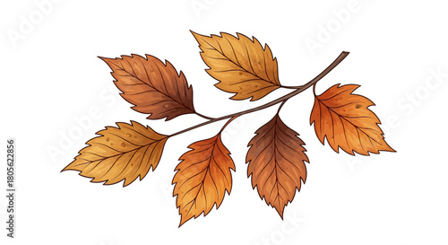 Rustic Hand-Drawn Autumn Leaves Branch PNG - Cozy Fall Digital Clip Art