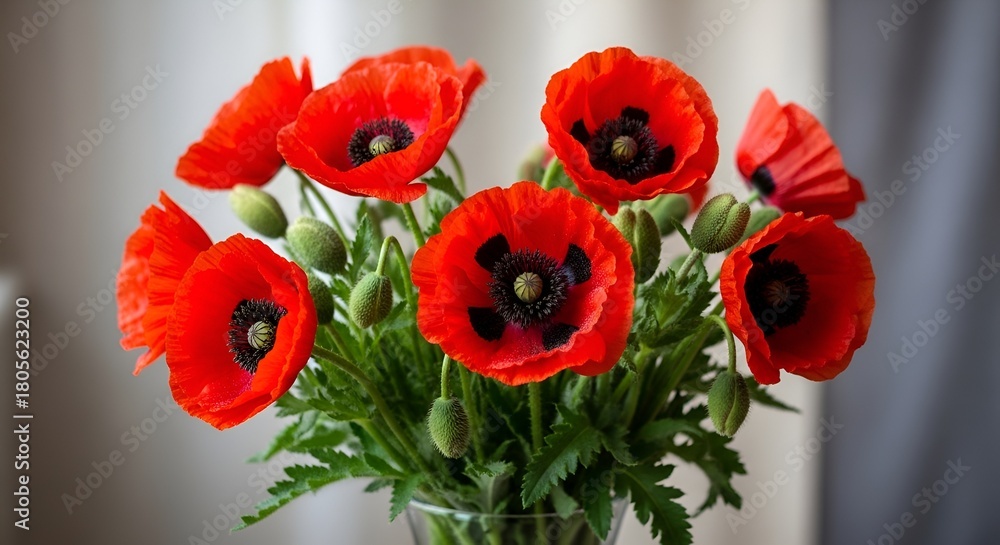 Fototapeta premium Vibrant red poppy bouquet with delicate petals and dark centers arrangement