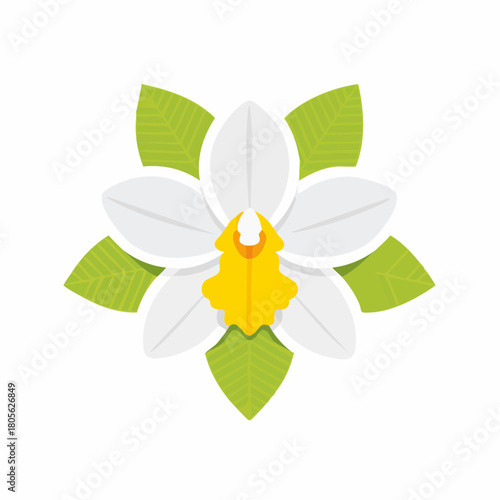 A beautiful white orchid flower with a yellow center, illustrated in a modern flat design style. This isolated vector graphic represents a tropical vanilla bloom with green leaves