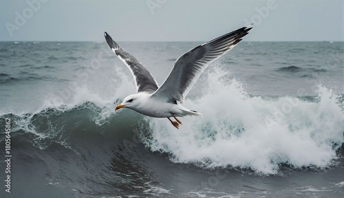Seagull flying over ocean waves - ultra realistic photo