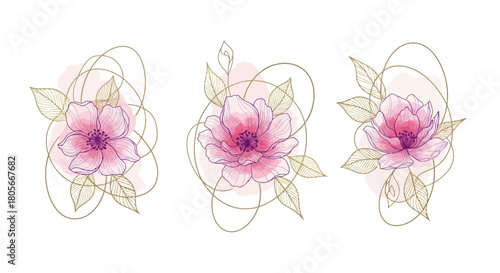 Elegant Pink Watercolor Floral & Gold Line Art Vector Set for Luxury Design