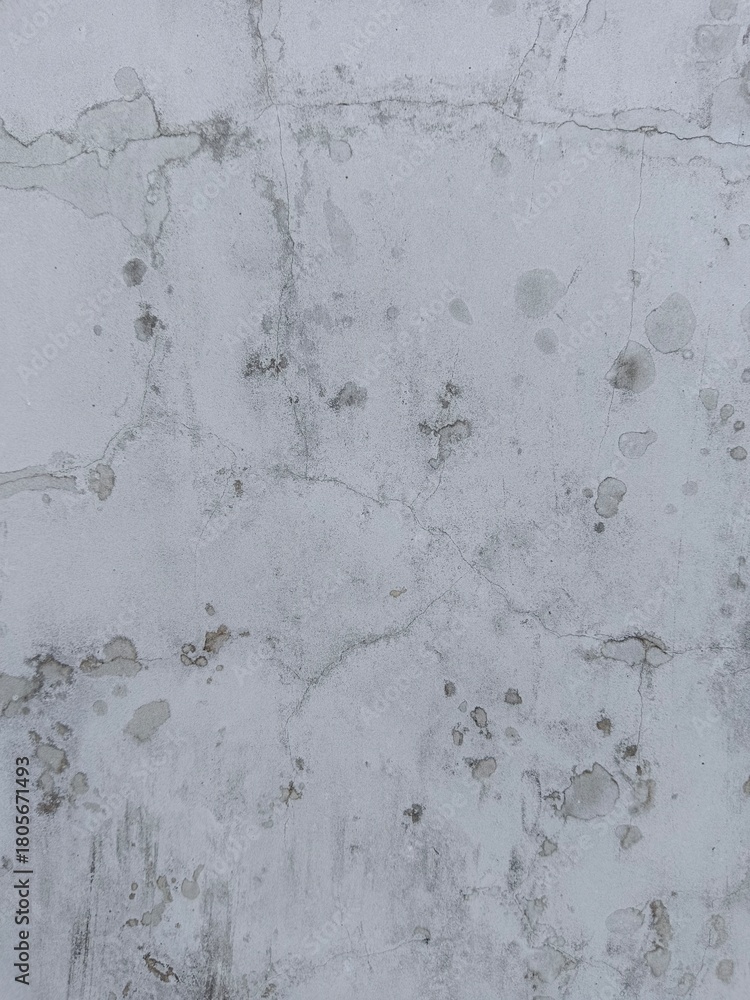 Fototapeta premium old wall texture