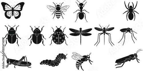 Collection of various insect silhouettes in black and white isolated on white background.