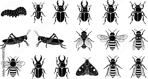 Collection of various insect silhouettes perfect for educational or design projects black and white.