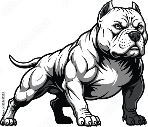 english bulldog puppy