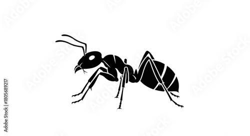 Black Ant Silhouette Vector Icon - Transparent Background