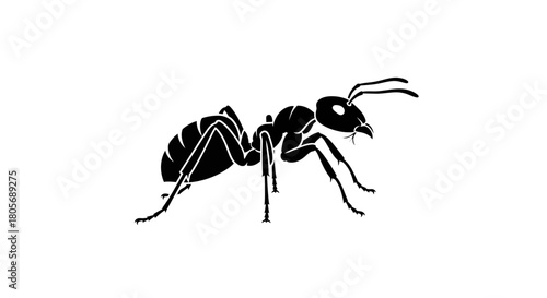 Black Ant Silhouette Vector Icon - Transparent Background
