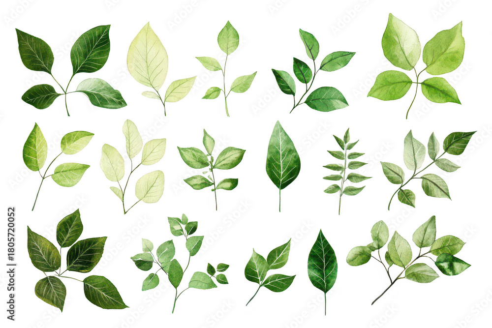 Fototapeta premium A diverse collection of hand-painted watercolor leaves various shapes. sizes. and shades of green. perfect for botanical illustrations. nature-themed designs. and artistic projects