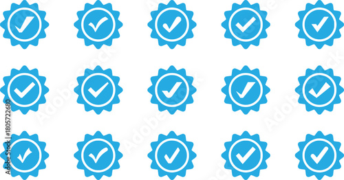 Blue verified instagram account icon. Approved profile sign. Tick in rounded corners star. Social media top page logo. Check mark. safety person in web. Vector illustration.