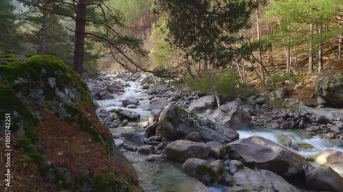 A scenic view of a fast flowing mountain river cascading over rocks and boulders through a dense forest. The footage captures the natural beauty and pristine wilderness of the North Caucasus region in