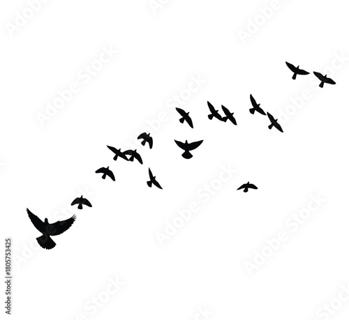 A flock of silhouette birds flying in formation across a bright white sky