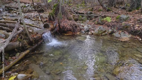 A peaceful scene of a small creek flowing over rocks and fallen logs, creating a small waterfall. The surrounding forest is filled with bare trees and moss covered rocks, suggesting an autumn or early