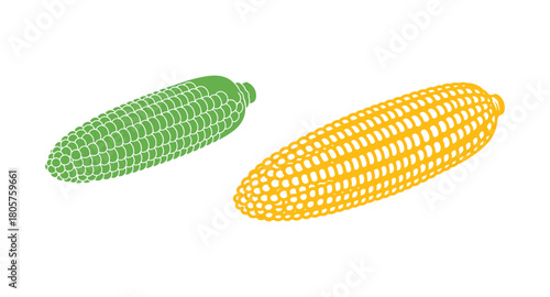 Colorful illustration of a corn cob with no husk, shown as a vector graphic.