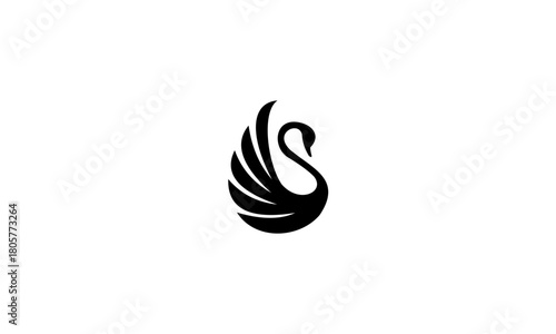 swan vector design