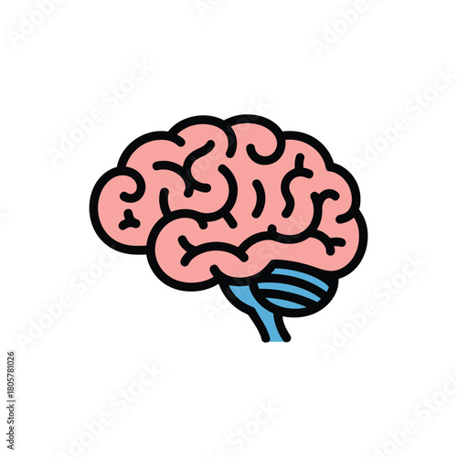Stylized illustration of a human brain with cerebellum and brainstem
