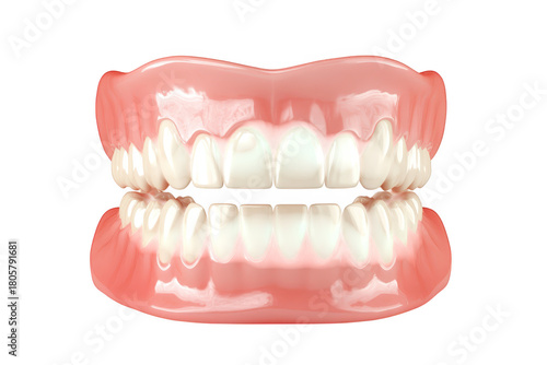 A detailed rendering of a human dental model a complete set of upper and lower teeth with realistic gum tissue. ideal for educational purposes in dentistry and orthodontics
