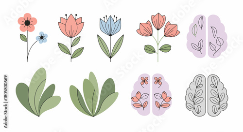 Collection of floral brains and botanical elements for mental wellness.
