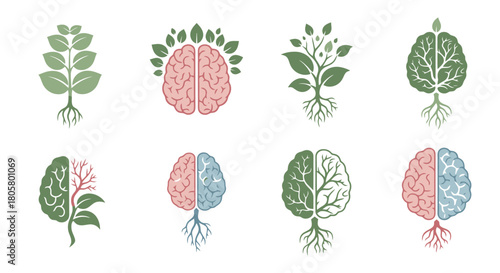 Brain and plant root growth concept for mental health.
