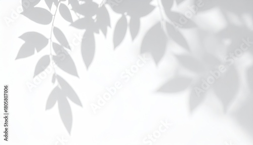 Wallpaper Mural Foliage shadows softly dance on a white wall Torontodigital.ca