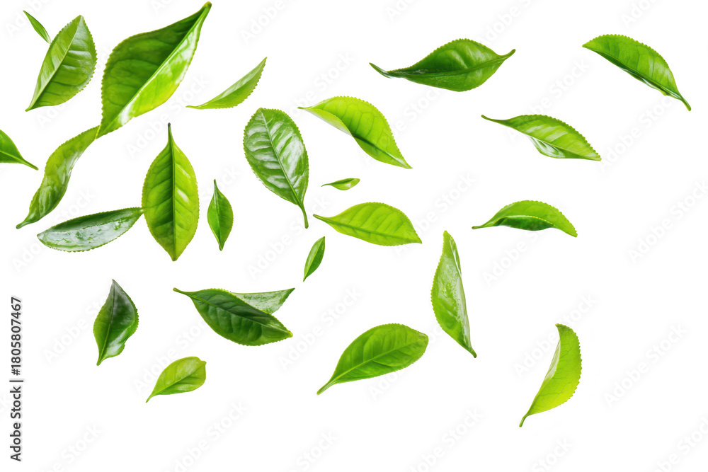 Naklejka premium A collection of fresh green tea leaves gracefully falling against a clean white background. symbolizing natures beauty and purity. ideal for wellness and culinary themes