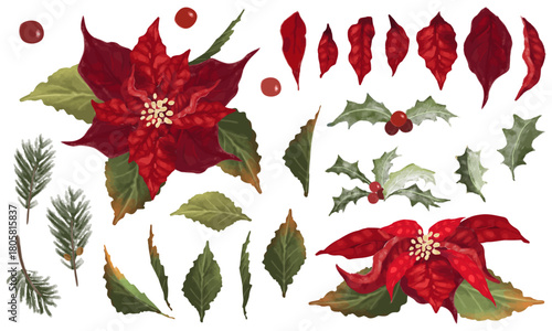 ポインセチアと柊のベクターイラスト素材セット