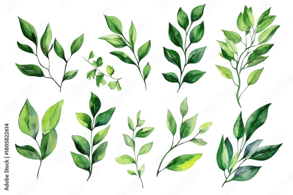 Fototapeta premium A collection of beautifully illustrated green leaves in various shapes and sizes. natural beauty and diversity. perfect for botanical designs and eco-friendly themes