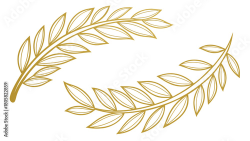 Two golden olive branches with delicate leaves arranged symmetrically on a white background image