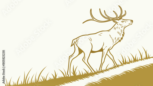 Illustration of a deer walking through tall grass on a hill in a minimalist line art style design element