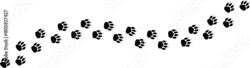 Dog and cat paw print Isolated on transparent background pet footprints, walk tracks, and animal paw vector Illustration.