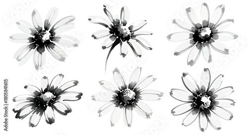 Set of six artistic black and white daisy flowers painted in a loose watercolor or ink wash style on a white background.