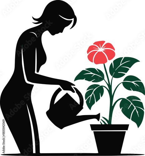 Woman watering a flower tree in a tub silhouette icon