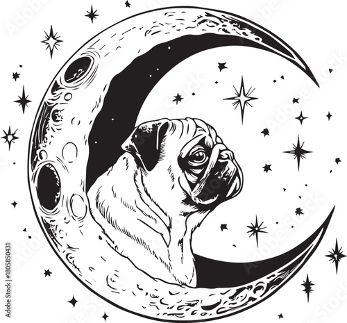 Celestial Pug's Serenity: A whimsical and artistic rendering presents a pug nestled serenely within a crescent moon.