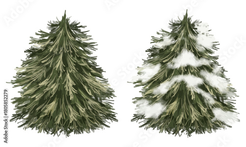 水彩で描いたモミの木のイラストセット（シンプルなモミの木とと雪の積もったモミの木）
