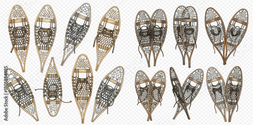 Diverse collection of traditional and modern snowshoes for winter sports and outdoor recreation.