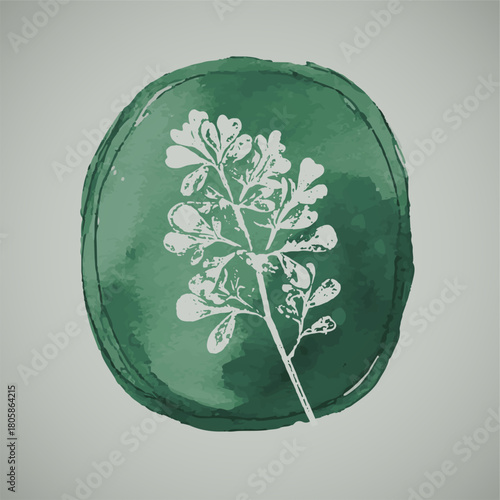 Floral graphic illustration drawing of greens and plants over a creative green oval background