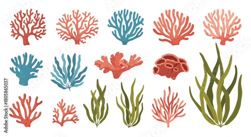 A vibrant collection of diverse underwater corals and marine algae, showcasing various shapes and colors for ocean-themed design.
