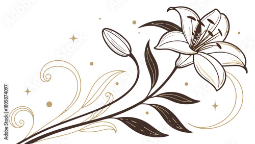 Elegant floral design featuring a lily flower bud leaves swirls and sparkling stars on a white background
