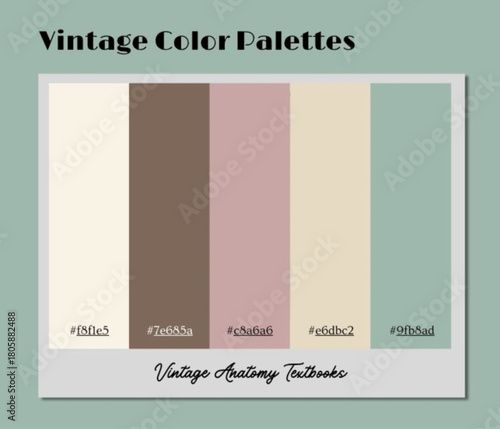 A rich vintage color palette curated for editorial spreads requiring warm, character-filled visuals.