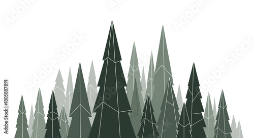 Illustration of a forest with tall, stylized evergreen trees in varying shades of green.