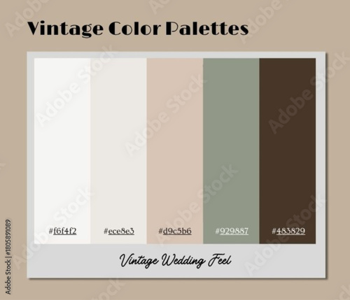 A minimalistic vintage color palette tailored for boutique branding and editorial mood board presentations.